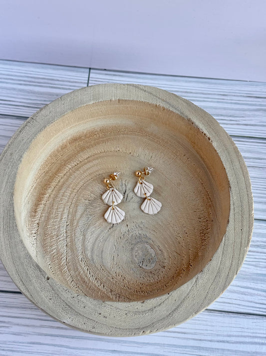 Seashell cove