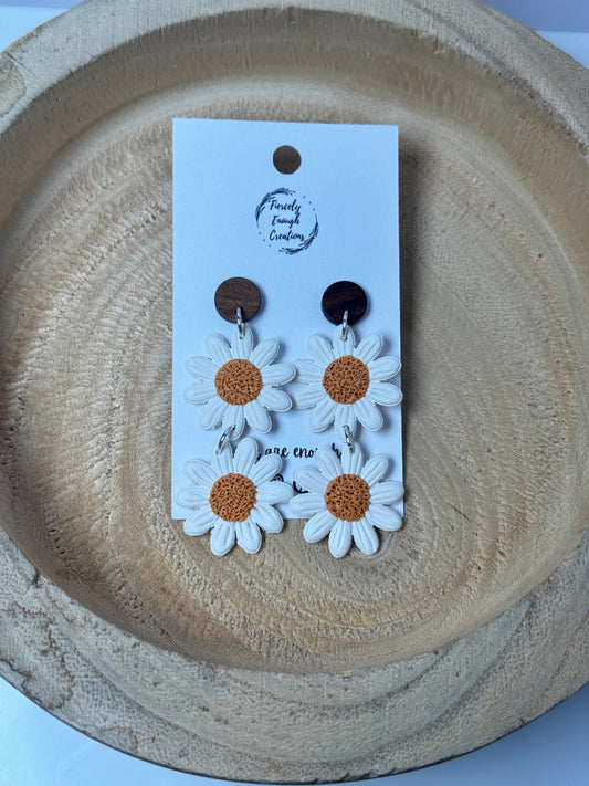 Daisy daydream